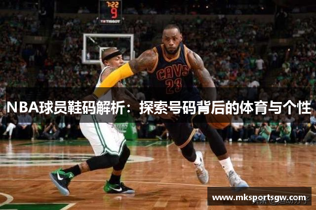 NBA球员鞋码解析：探索号码背后的体育与个性