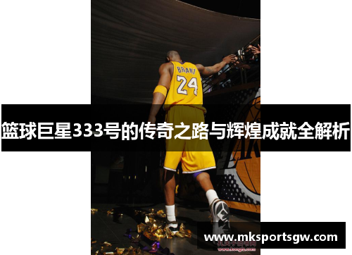 篮球巨星333号的传奇之路与辉煌成就全解析